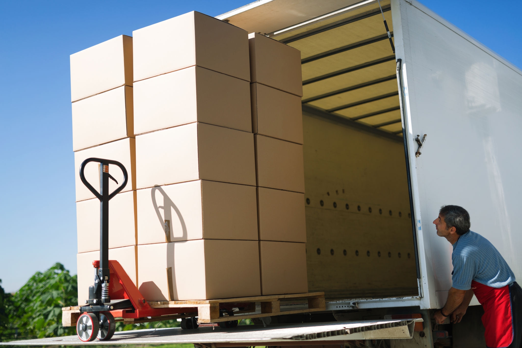 Cargo and goods transportation by truck Fissaggio del carico